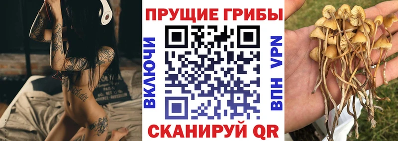Купить  Сасово  Псилоцибиновые грибы ЛСД 